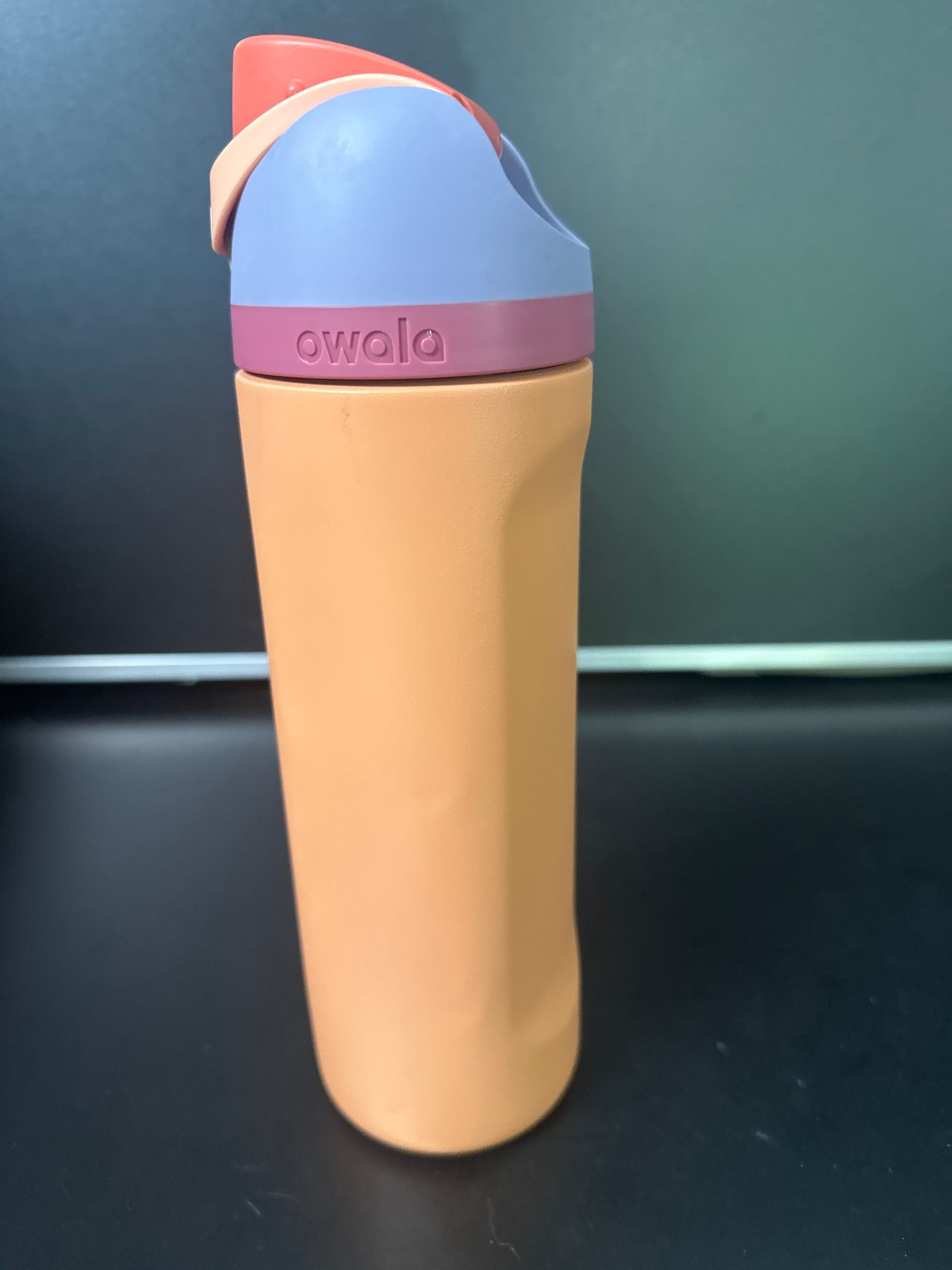Owala 24oz FreeSip Stainless Steel Water Bottle 6-00026