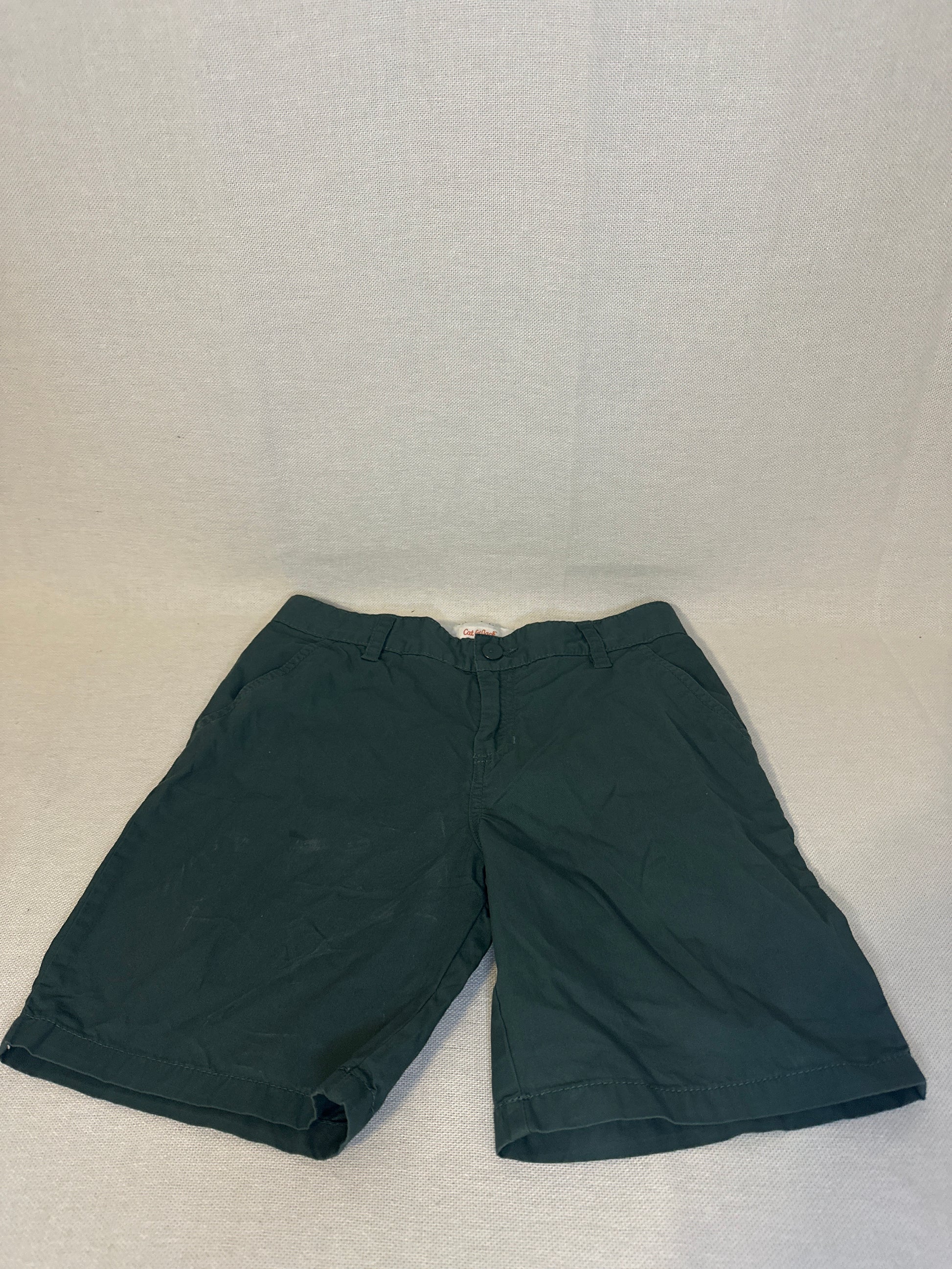 Boys' Regular Fit Flat Front 'At the Knee' Chino Shorts - Cat & Jack™ Size 12-Green