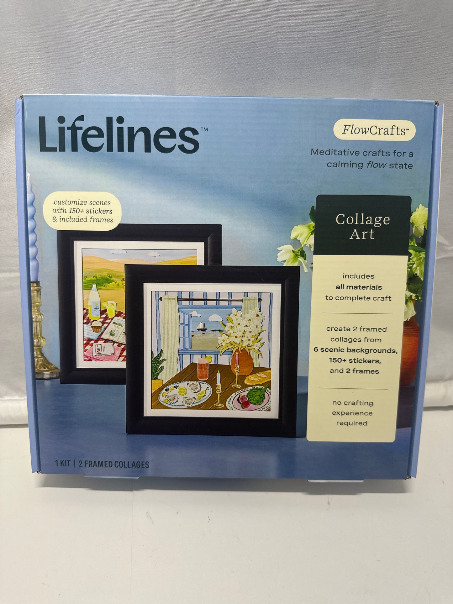 Lifelines FlowCrafts Collage Art Craft Kit 2 Framed Collages 150+ Stickers