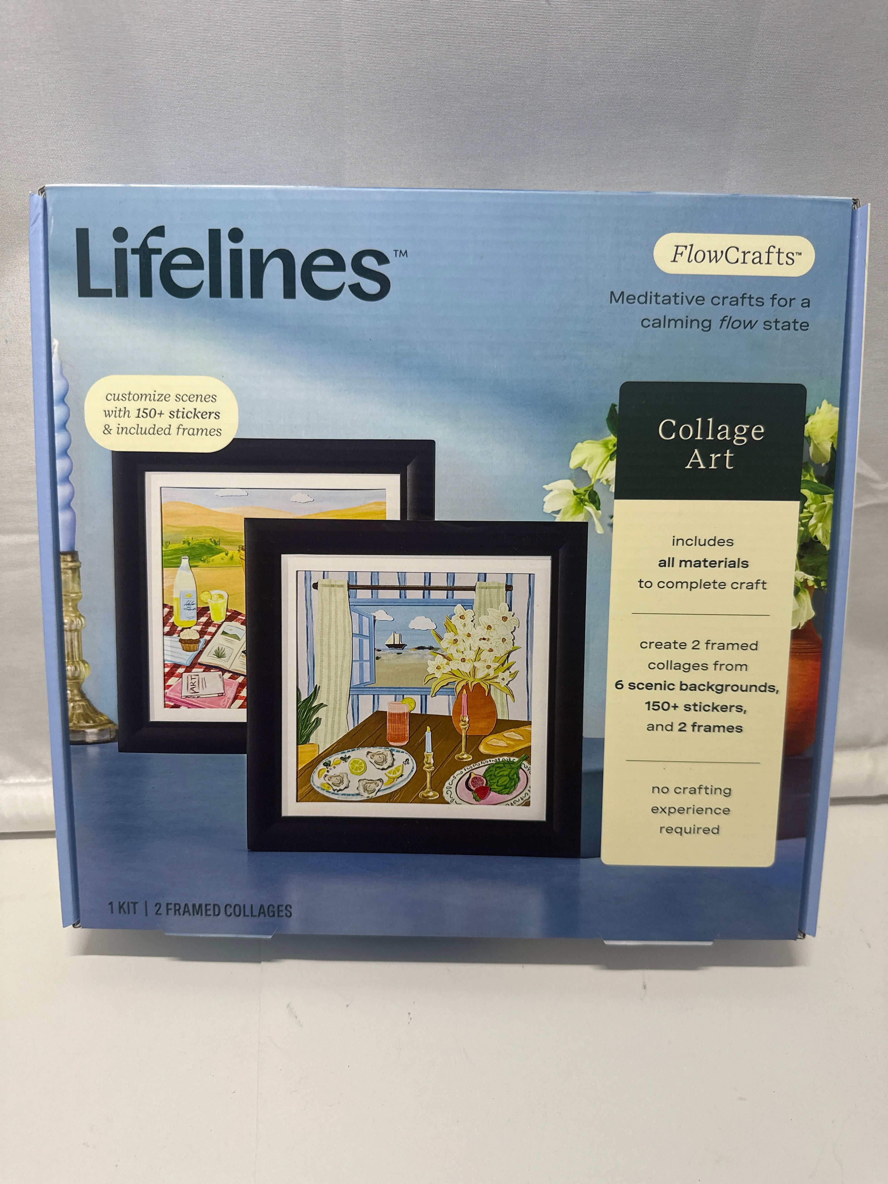Lifelines FlowCrafts Collage Art Craft Kit 2 Framed Collages 150+ Stickers