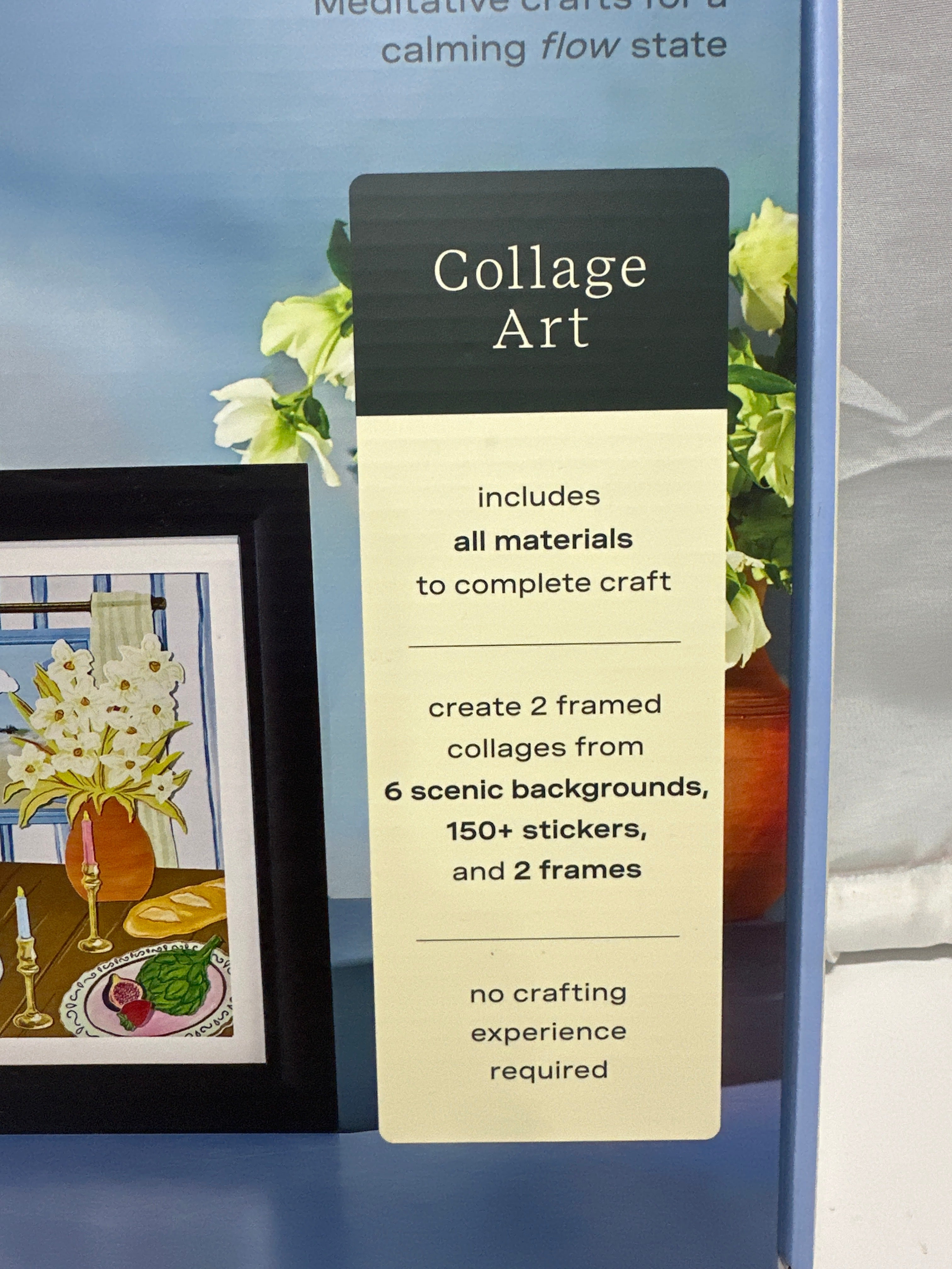 Lifelines FlowCrafts Collage Art Craft Kit 2 Framed Collages 150+ Stickers