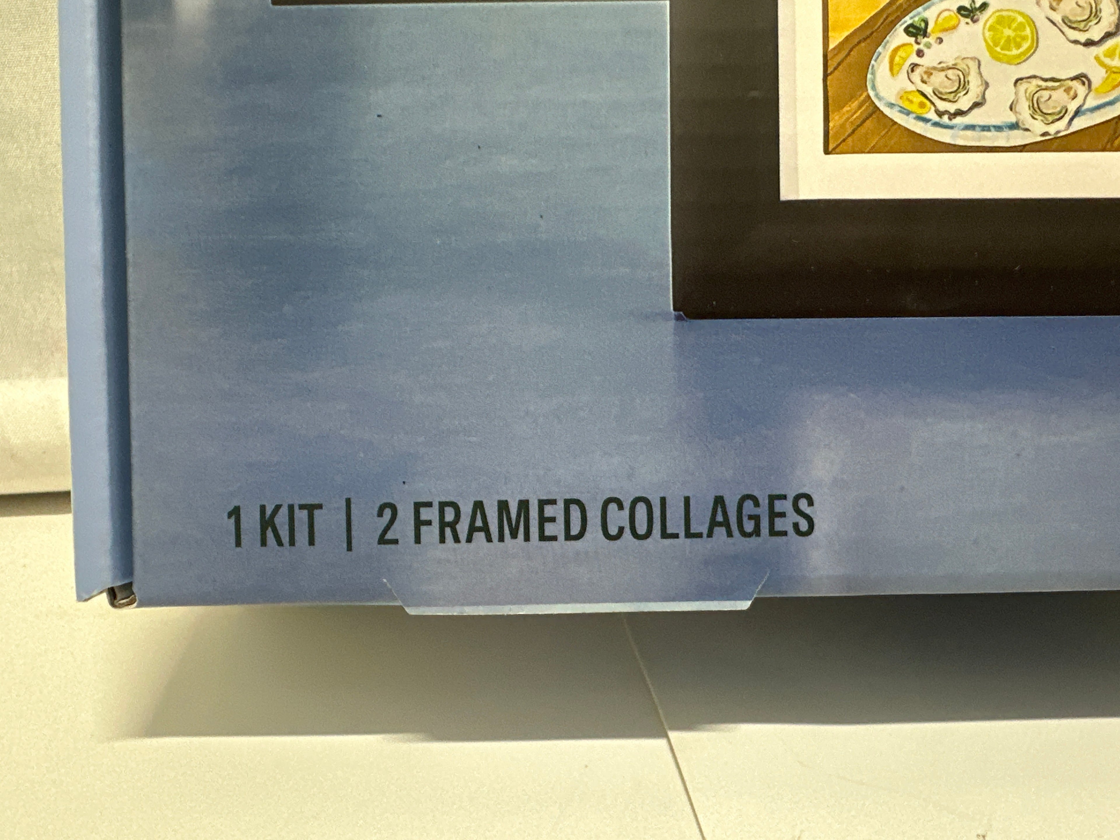 Lifelines FlowCrafts Collage Art Craft Kit 2 Framed Collages 150+ Stickers