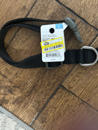 Basic Dog Collar - Boots & Barkley™ -Large- Black