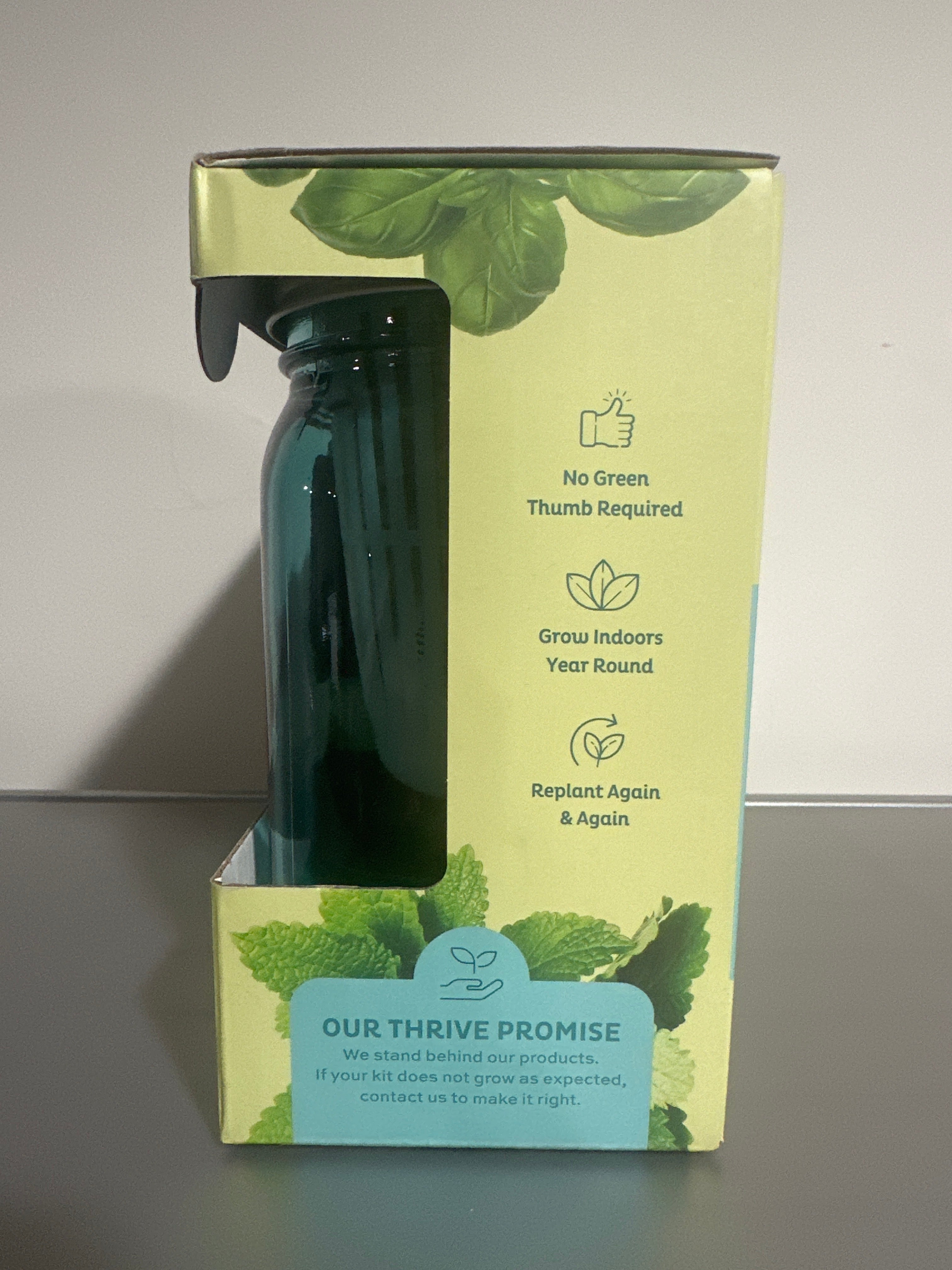 Modern Sprout Mason Jar Grow Kit 2-Pack – Basil & Mint