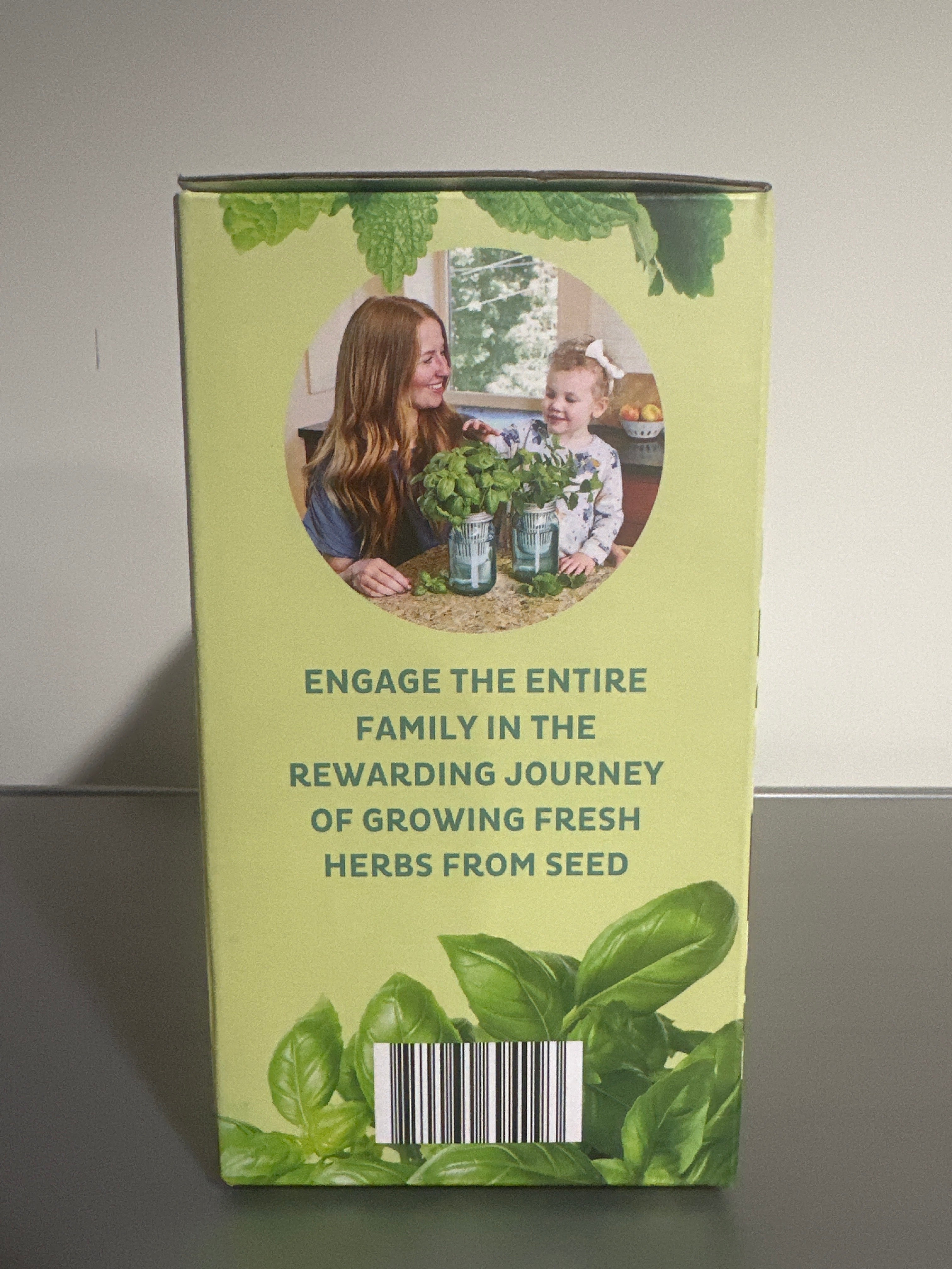Modern Sprout Mason Jar Grow Kit 2-Pack – Basil & Mint