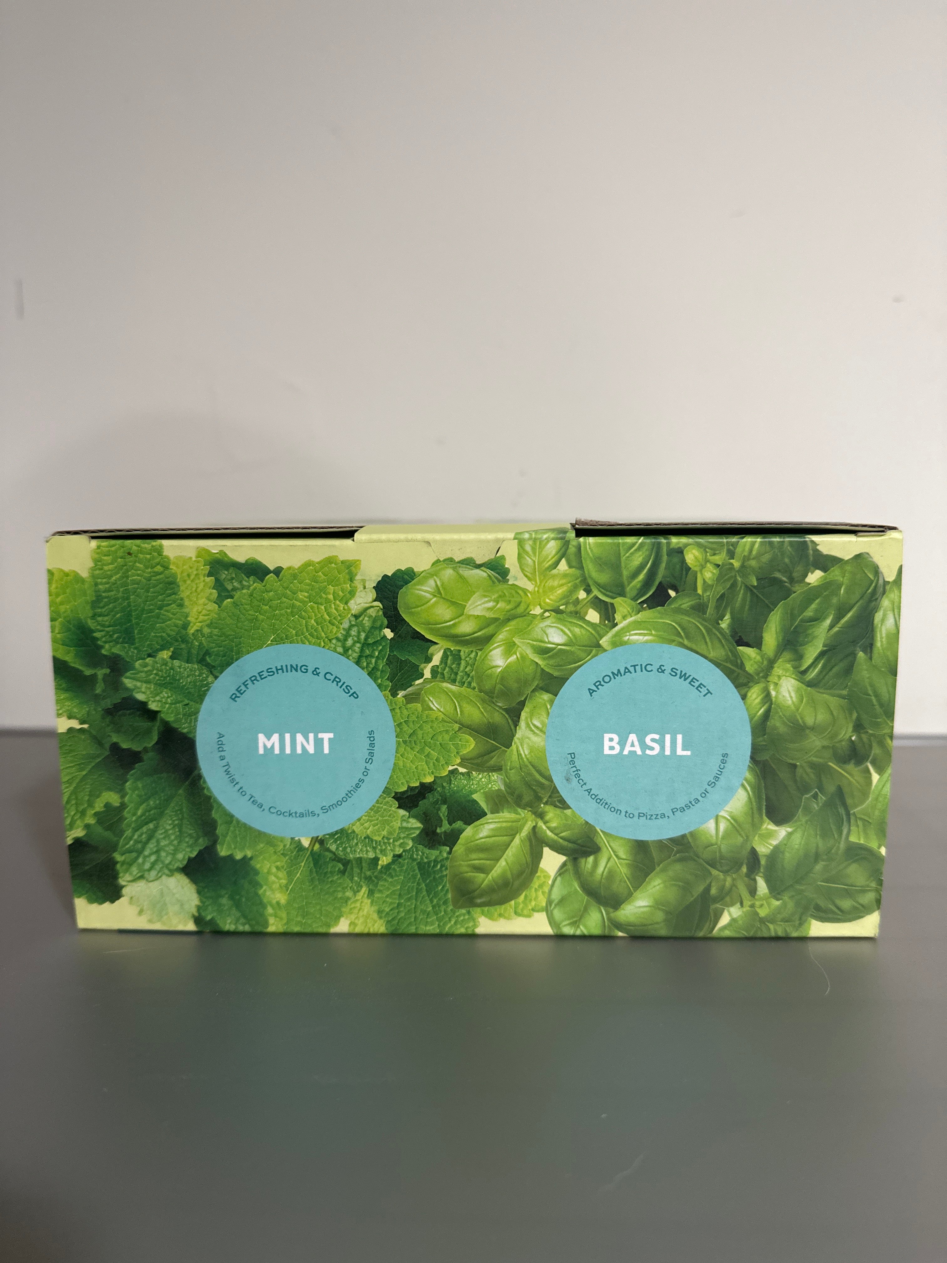 Modern Sprout Mason Jar Grow Kit 2-Pack – Basil & Mint