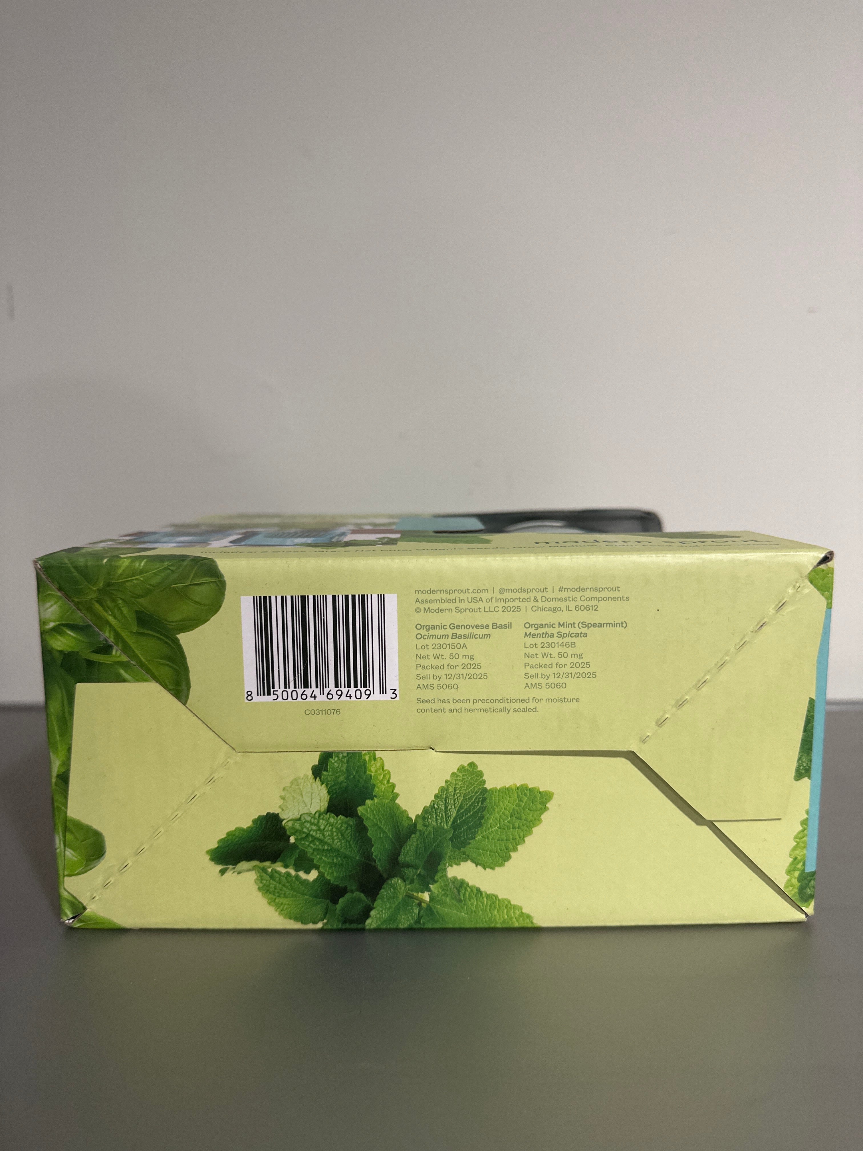 Modern Sprout Mason Jar Grow Kit 2-Pack – Basil & Mint