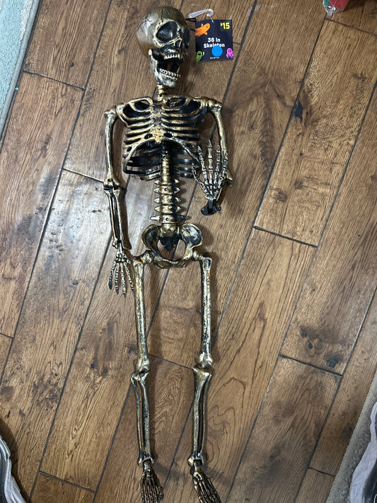 Halloween Skeleton
