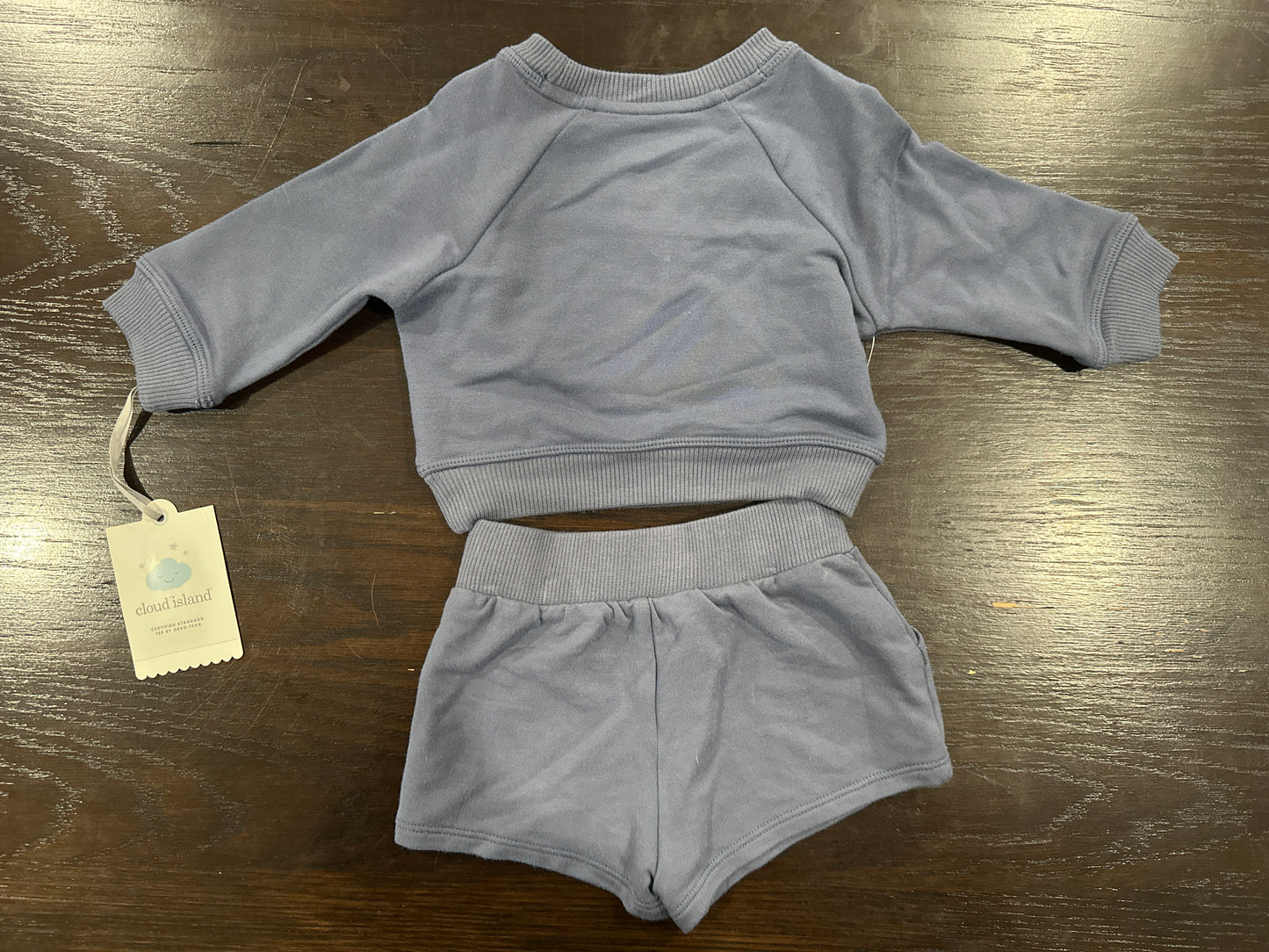 Cloud Island™ Baby 2-Piece Cozy Sweatshirt & Shorts Set – Fox Appliqué