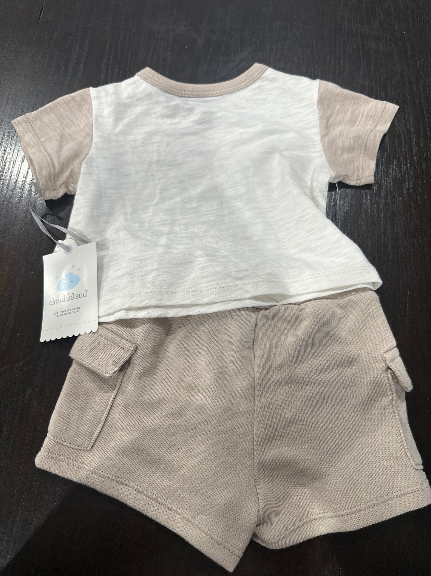 Cloud Island™ 2-Piece Baby Outfit Set – Beach Club Tee & Shorts