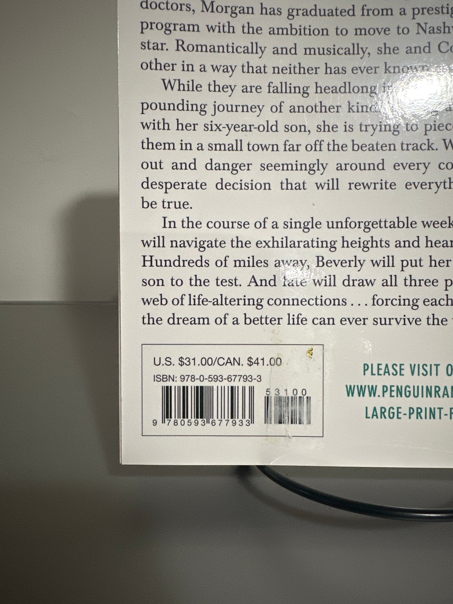 Dreamland (Large Print Edition) by Nicholas Sparks