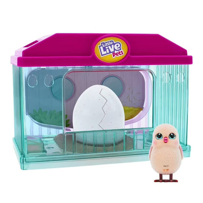 Little Live Pets, Surprise Chick Blue Hatching House with Chick, Styles and Colors May Vary, Ages 5+