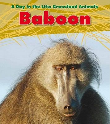 Baboon by Louise Spilsbury Hardcover