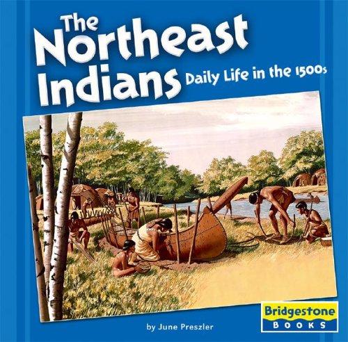 The Northeast Indians by Janeen R. Adil Hardcover