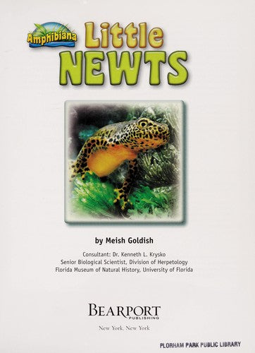 Little newts by Meish Goldish Hardcover Children's Book