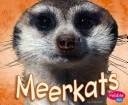 Meerkats by Jody Sullivan Rake Hardcover Children's Book