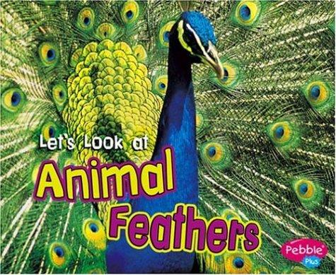 Let's Look at Animal Feathers by Wendy Perkins Hardcover