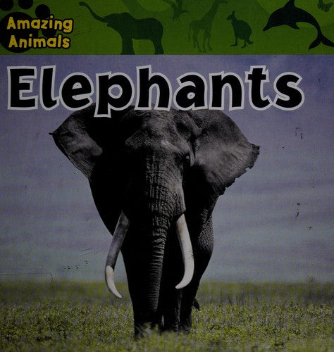 Elephants by Sarah Albee Hardcover Children's Book