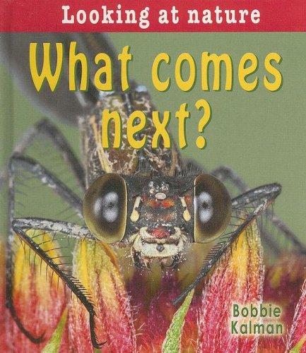 What Comes Next? (Looking at Nature) by Bobbie Kalman Hardcover