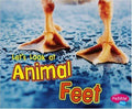 Let's Look at Animal Feet Hardcover