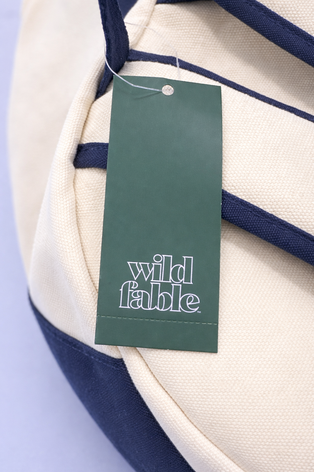 Wild Fable™ Canvas Backpack – Cream with Blue Accents