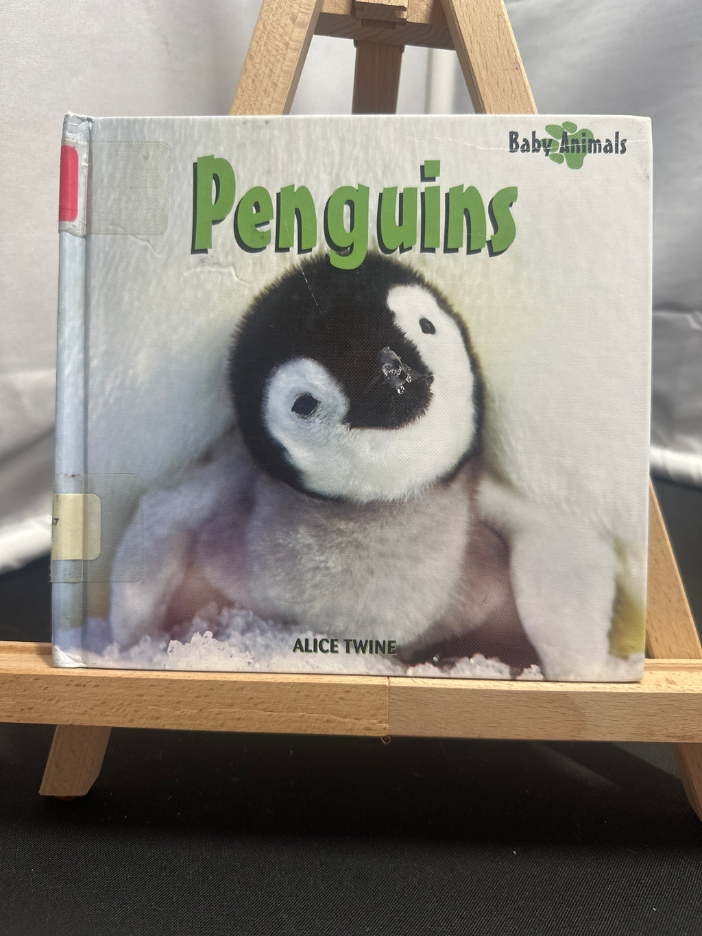 Penguins by Alice Twine Hardcover