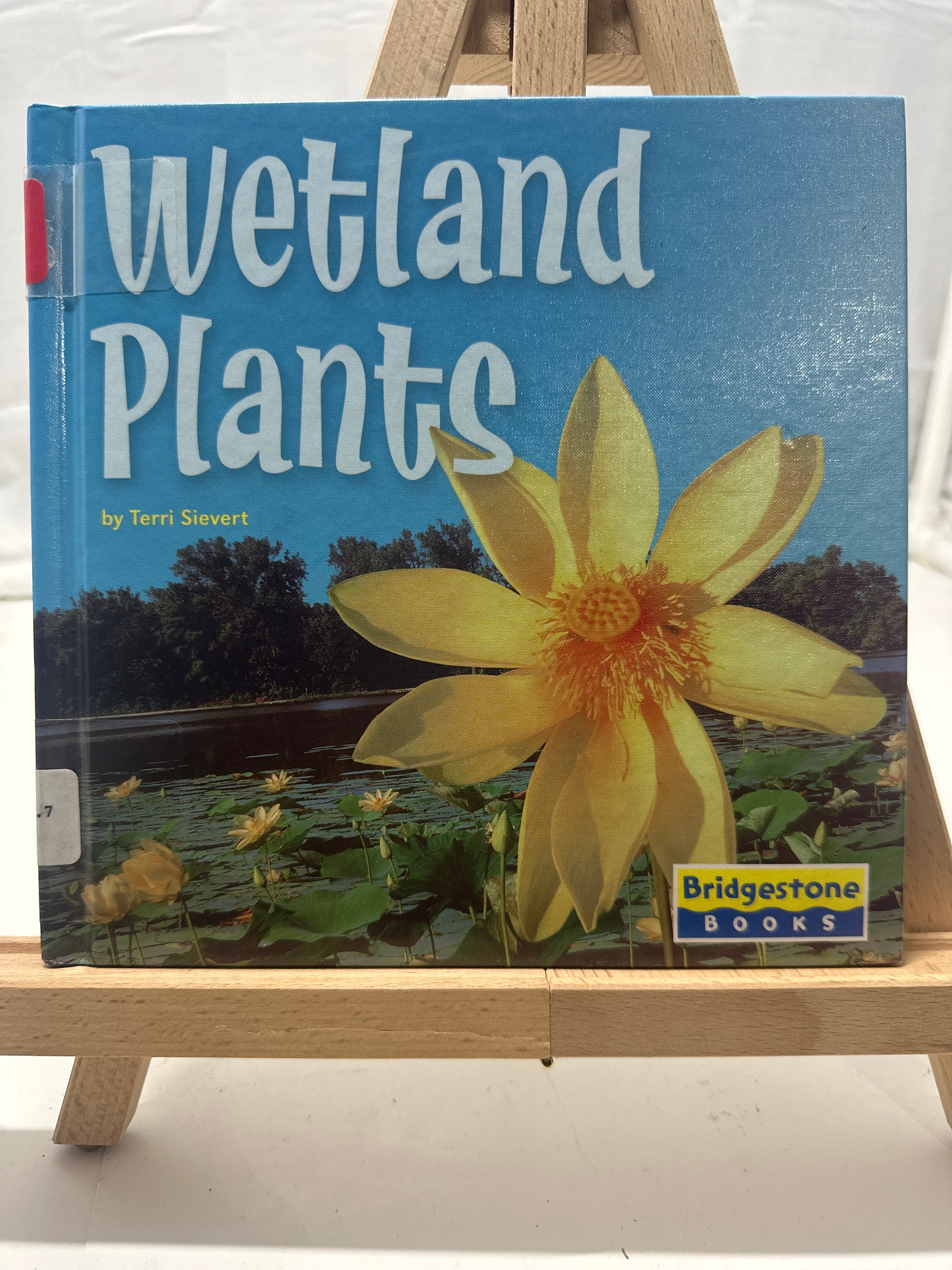 Wetland Plants (Life in the World's Biomes) by Terri Sievert Hardcover