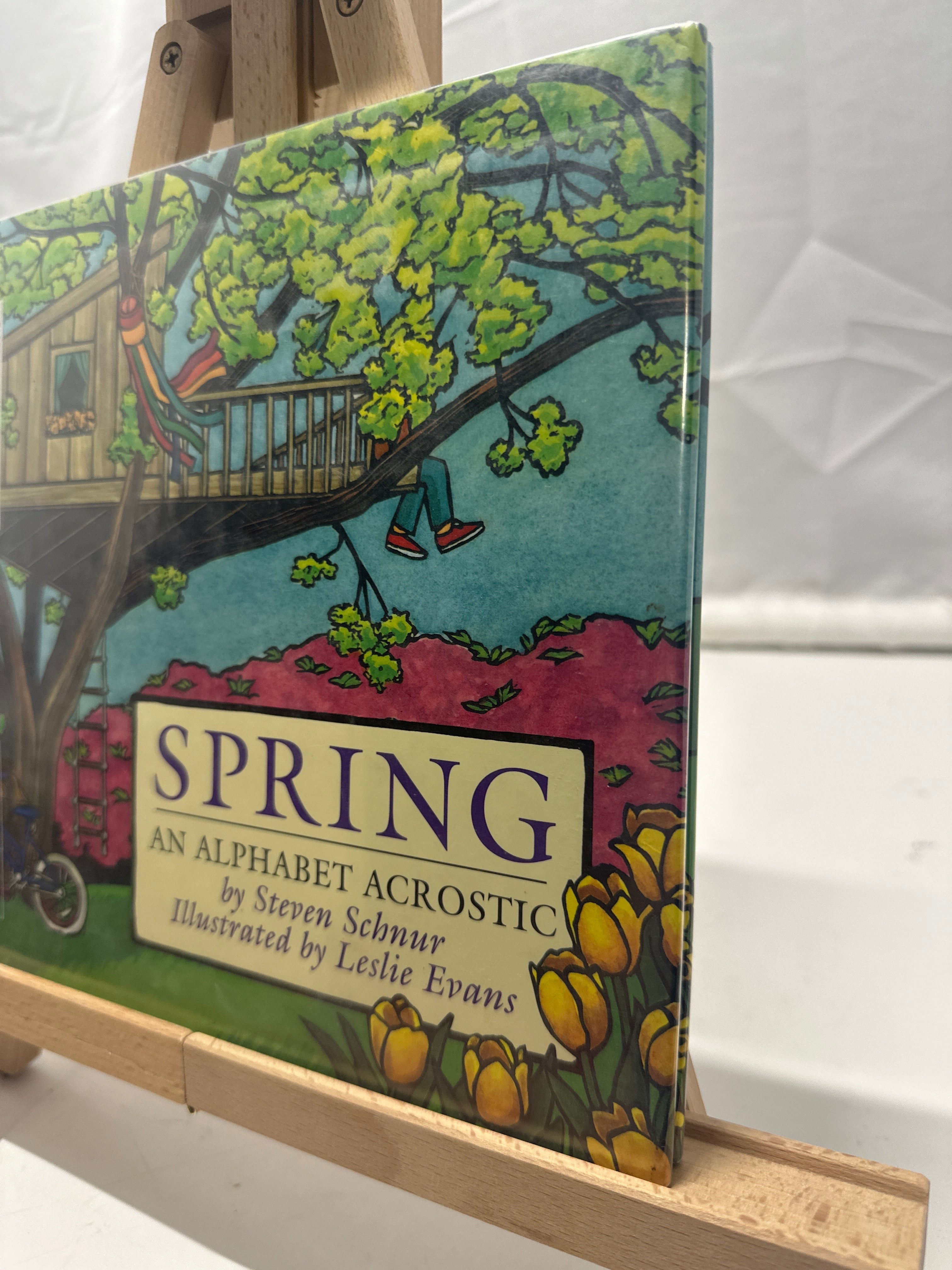 Spring by Steven Schnur Hardcover