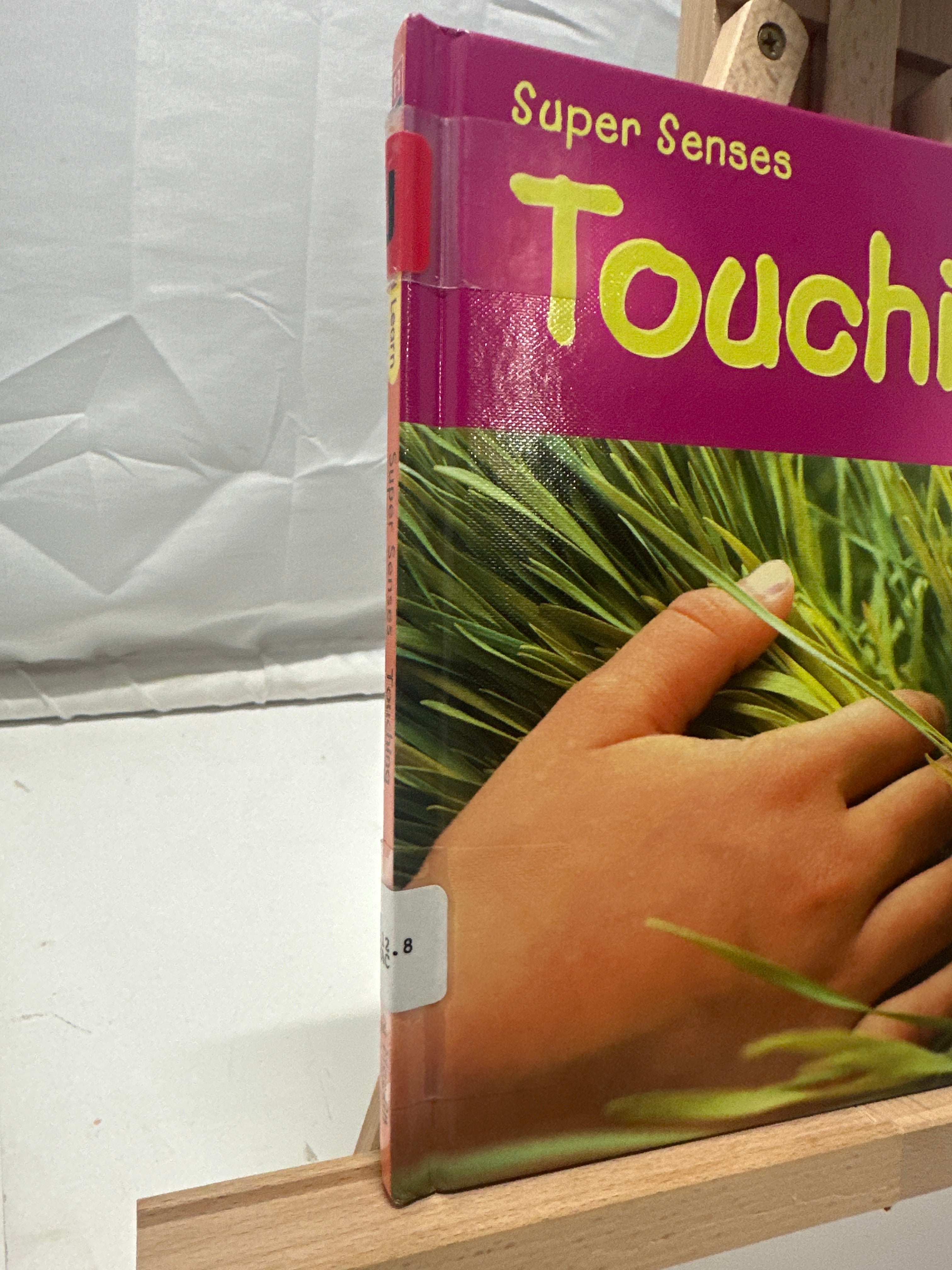 Touching by Mary Mackill Hardcover