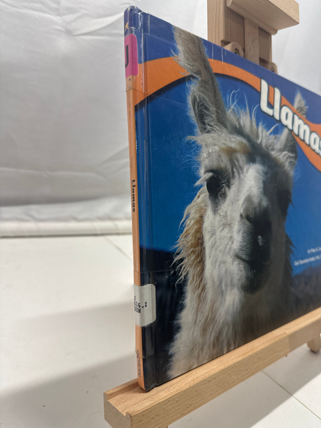 Llamas by Mary R. Dunn Hardcover