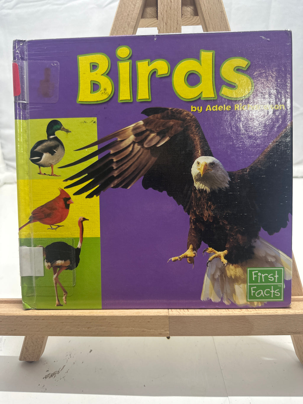 Birds (Exploring the Animal Kingdom) by Adele Richardson Hardcover