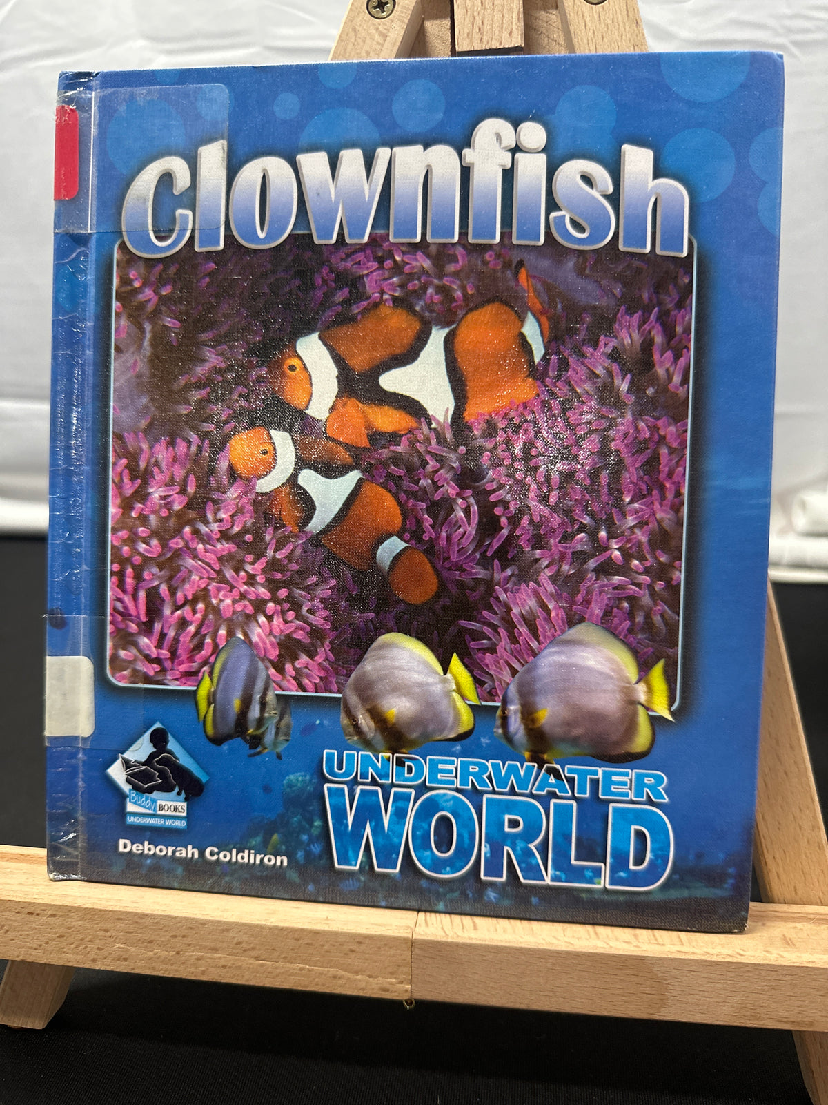Clownfish by Deborah Coldiron Hardcover Children's Book