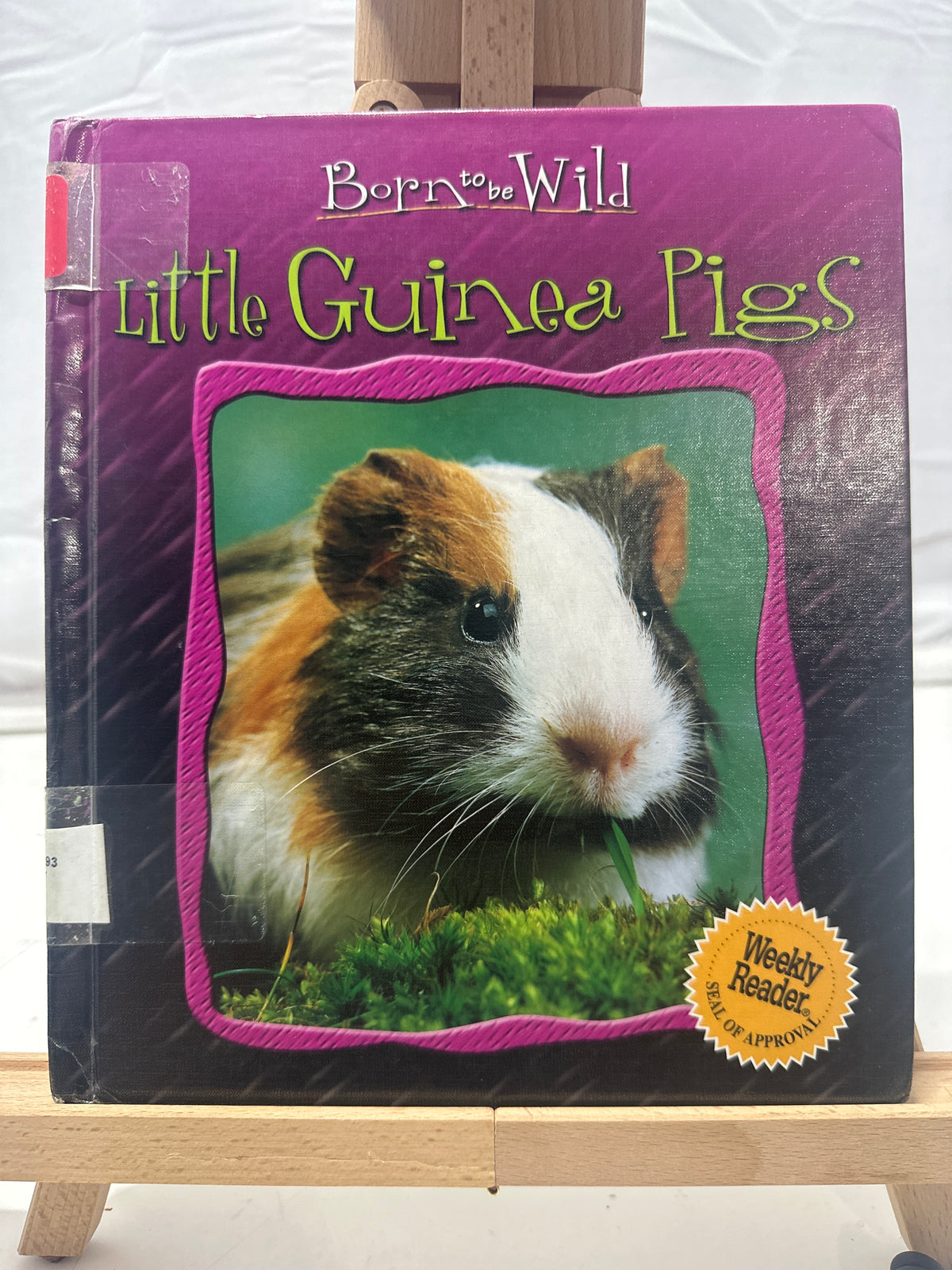 Little guinea pigs by Anne Royer Hardcover Children's Book