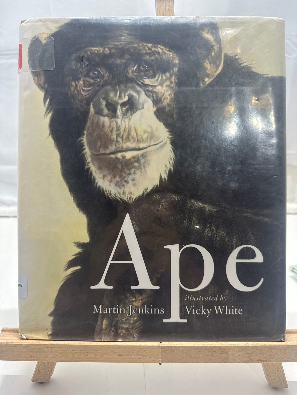 Ape by Martin Jenkins Hardcover