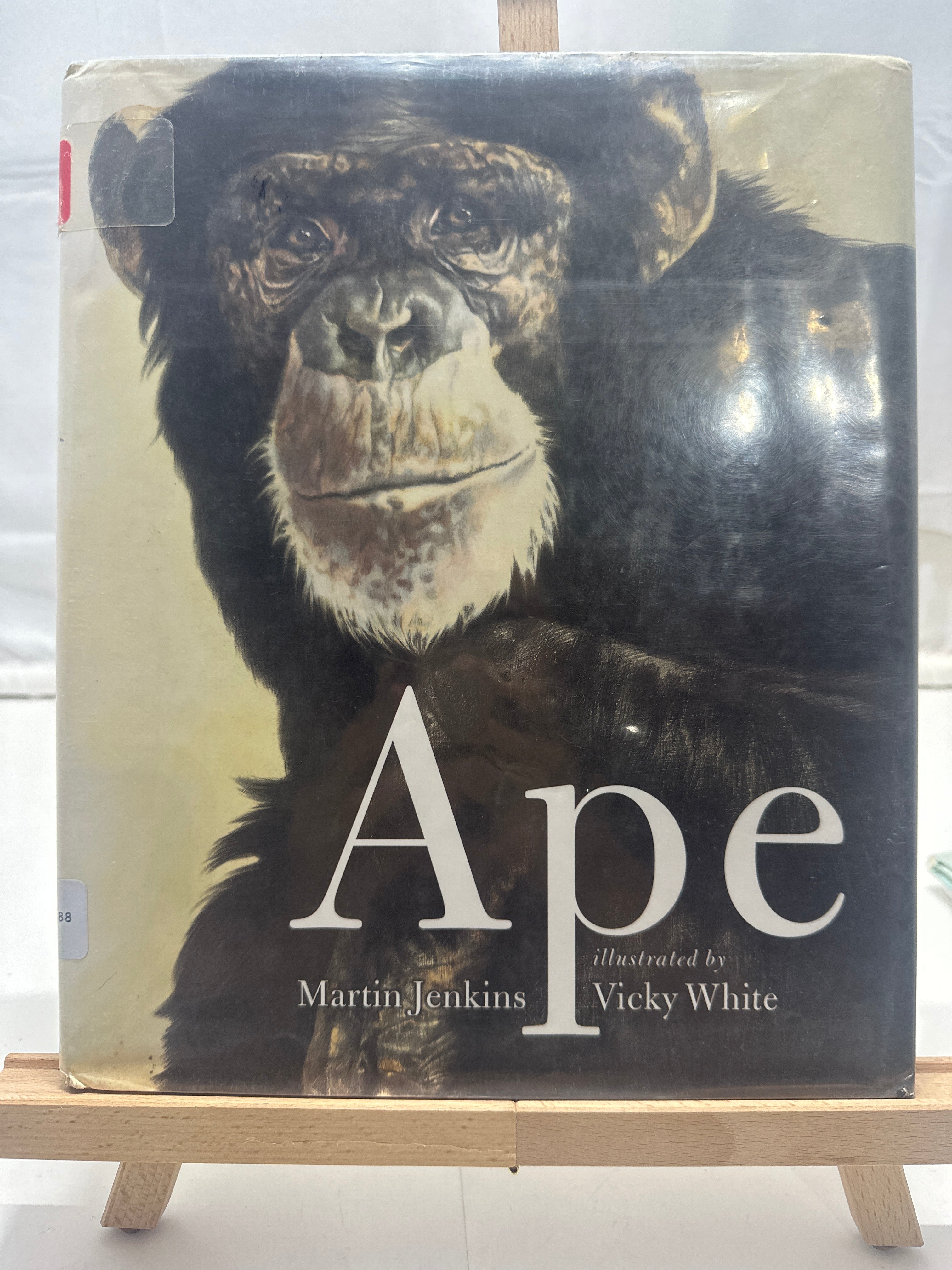 Ape by Martin Jenkins Hardcover