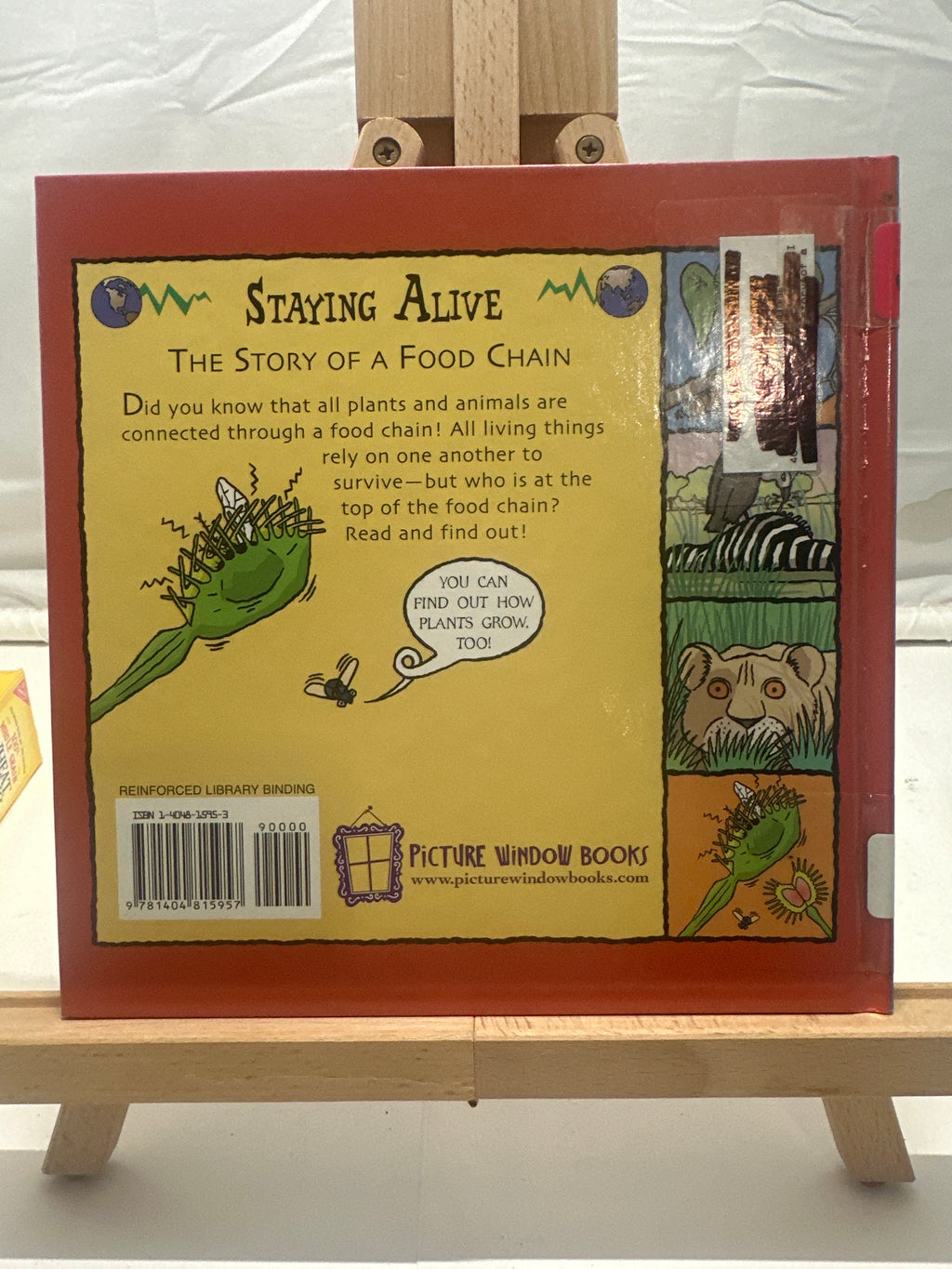 Staying alive by Jacqui Bailey Hardcover Children's Book