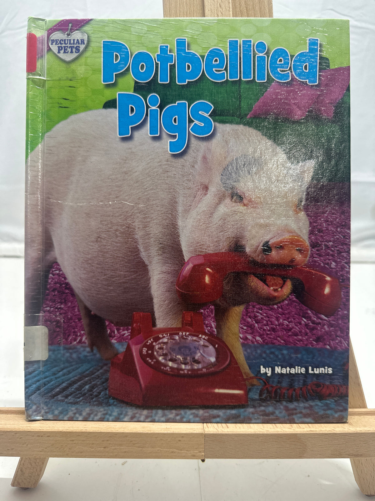 Potbellied pigs by Natalie Lunis Hardcover Children's Book
