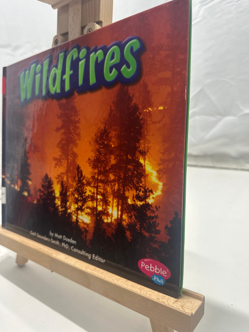 Wildfires by Matt Doeden Hardcover