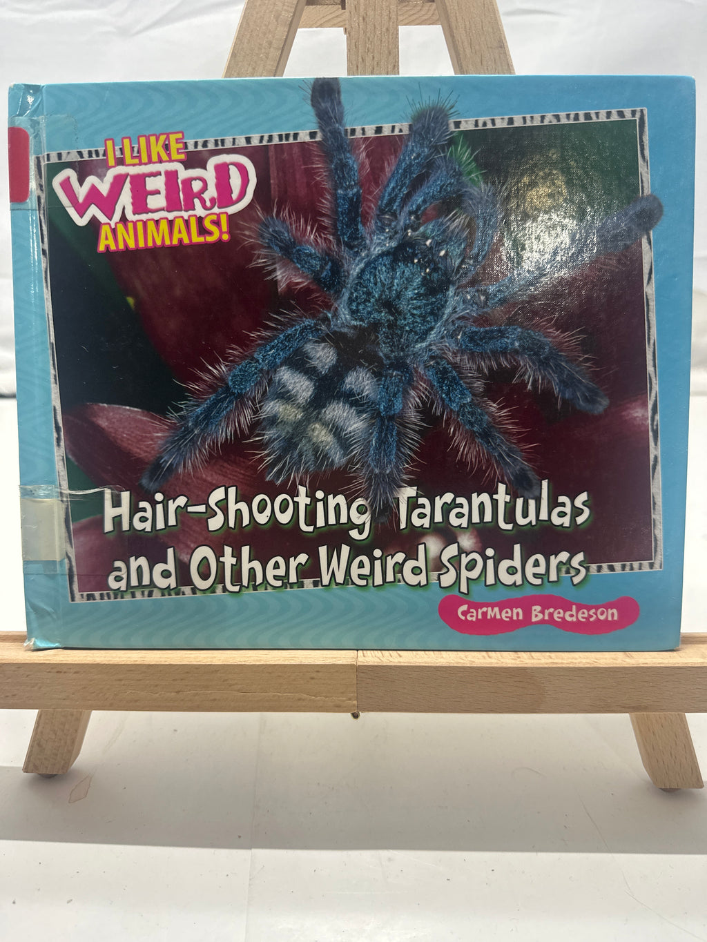 Hair-Shooting Tarantulas and Other Weird Spiders by Carmen Bredeson Hardcover