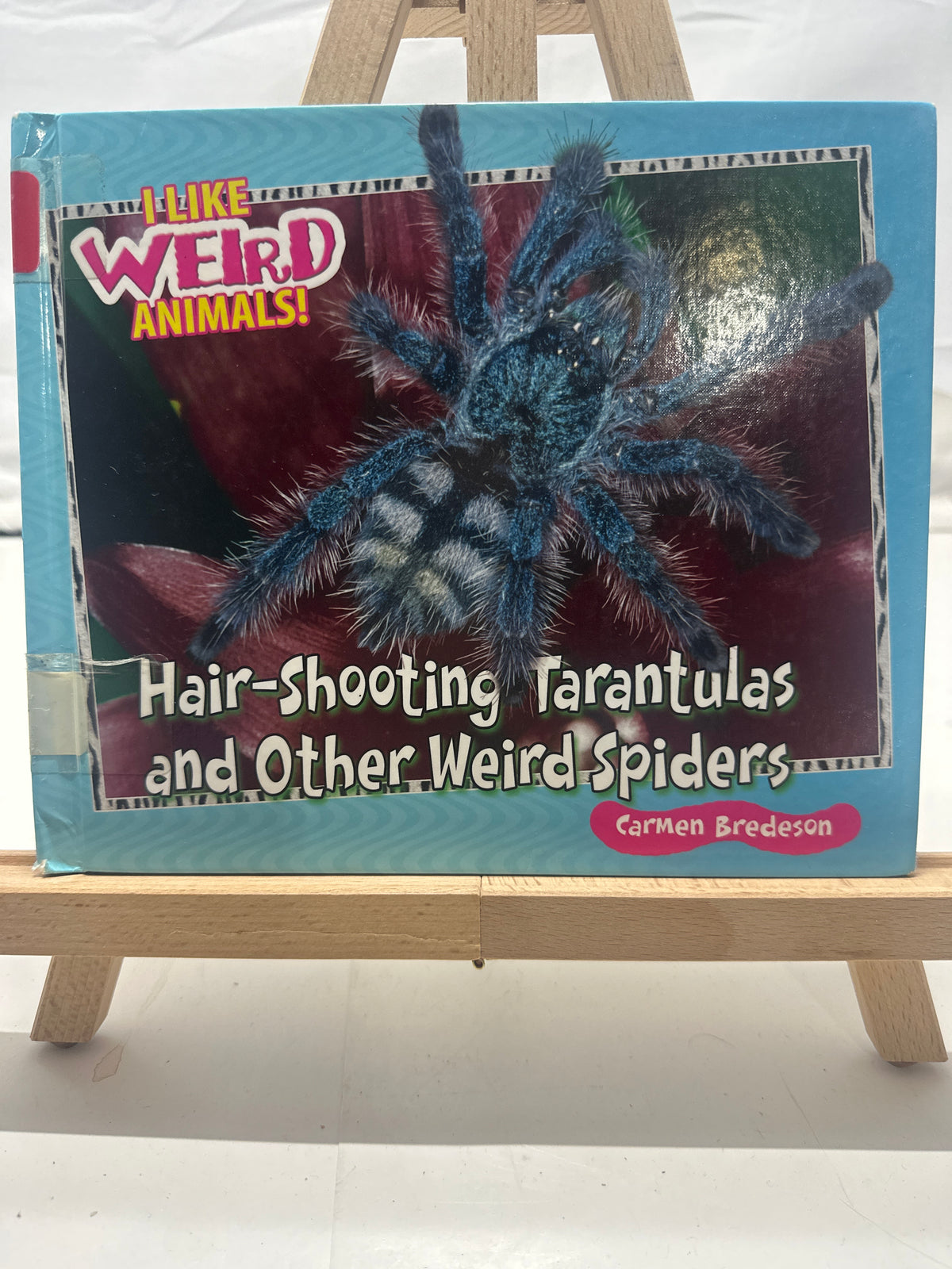 Hair-Shooting Tarantulas and Other Weird Spiders by Carmen Bredeson Hardcover