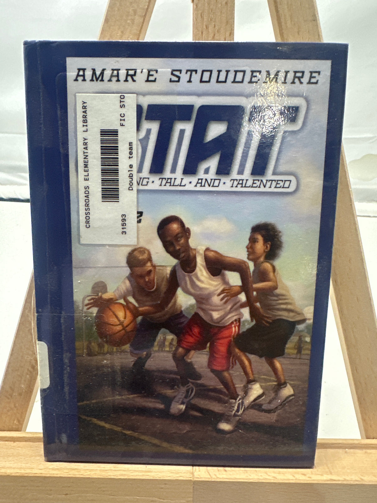 Double Team by Amar'e Stoudemire Hardcover