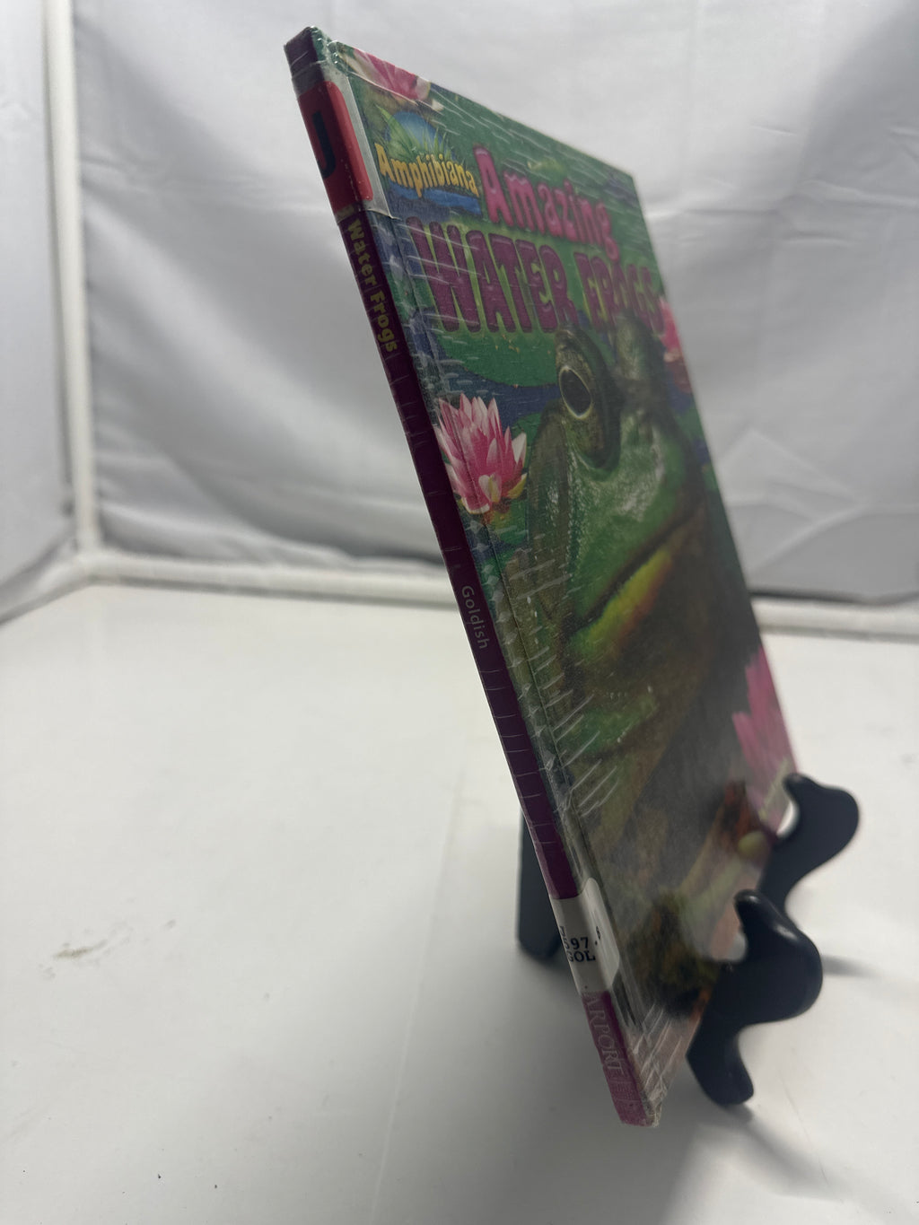 Amazing water frogs by Meish Goldish Hardcover Children's Book