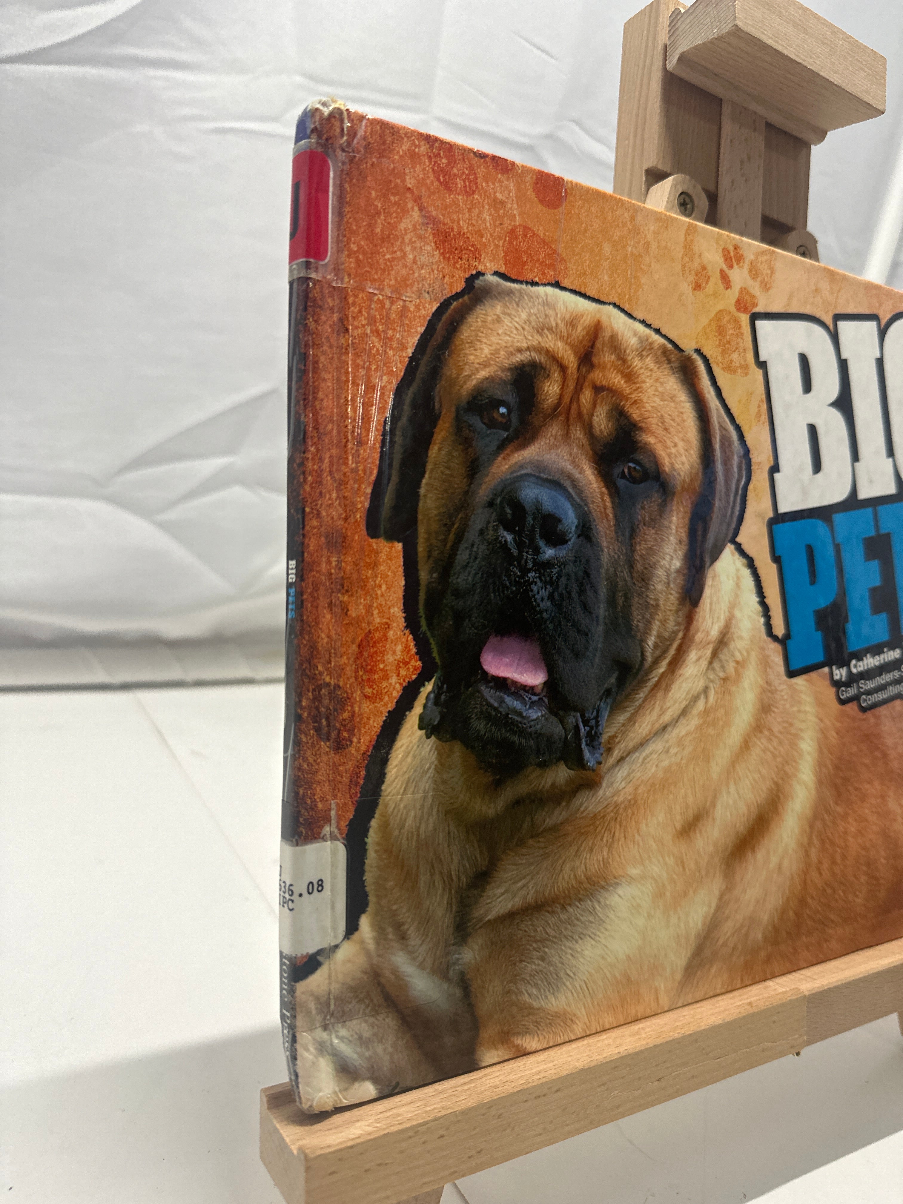 Big Pets by Catherine Ipcizade Hardcover