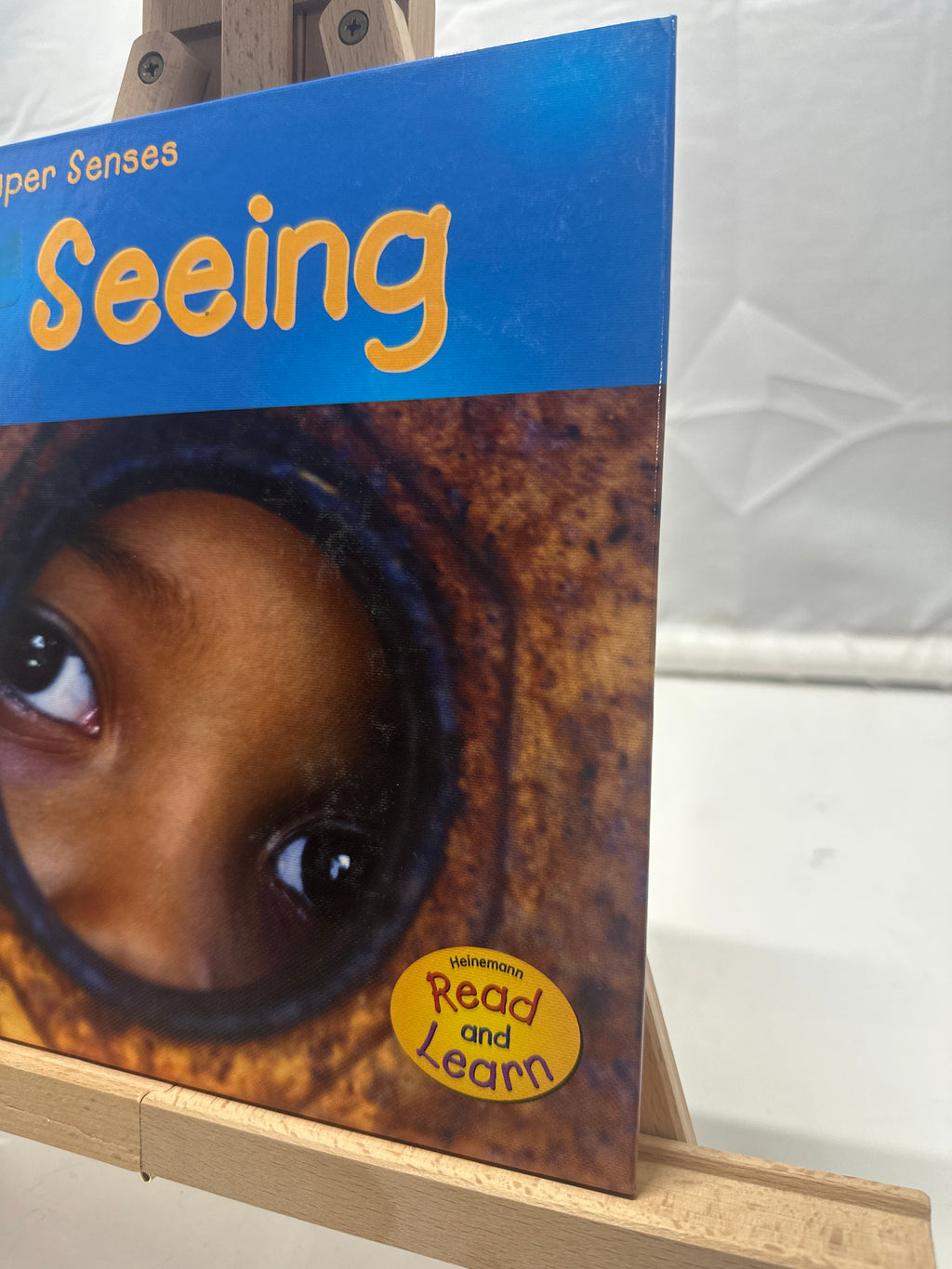 Seeing by Mary Mackill Hardcover