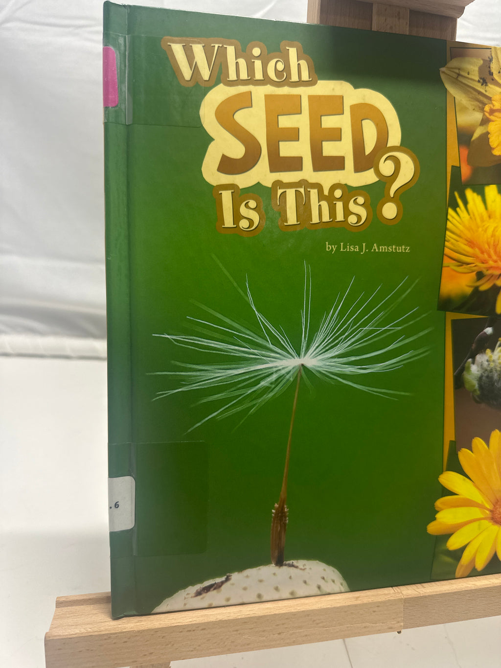 Which Seed Is This? by Lisa J. Amstutz Hardcover