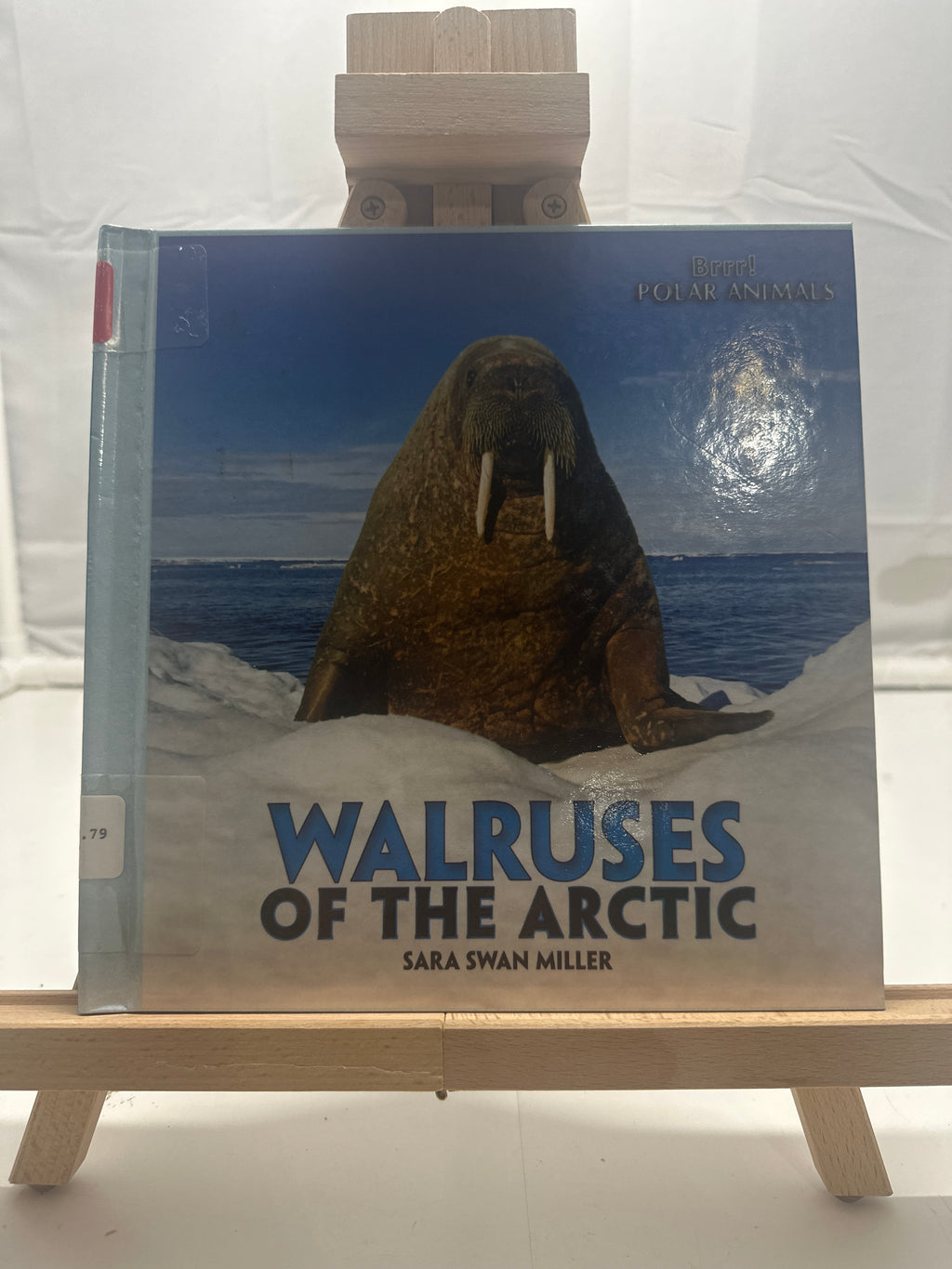 Walruses of the Arctic by Sara Swan Miller Hardcover