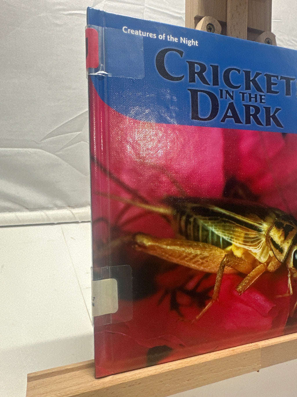 Crickets in the Dark by Doreen Gonzales Hardcover