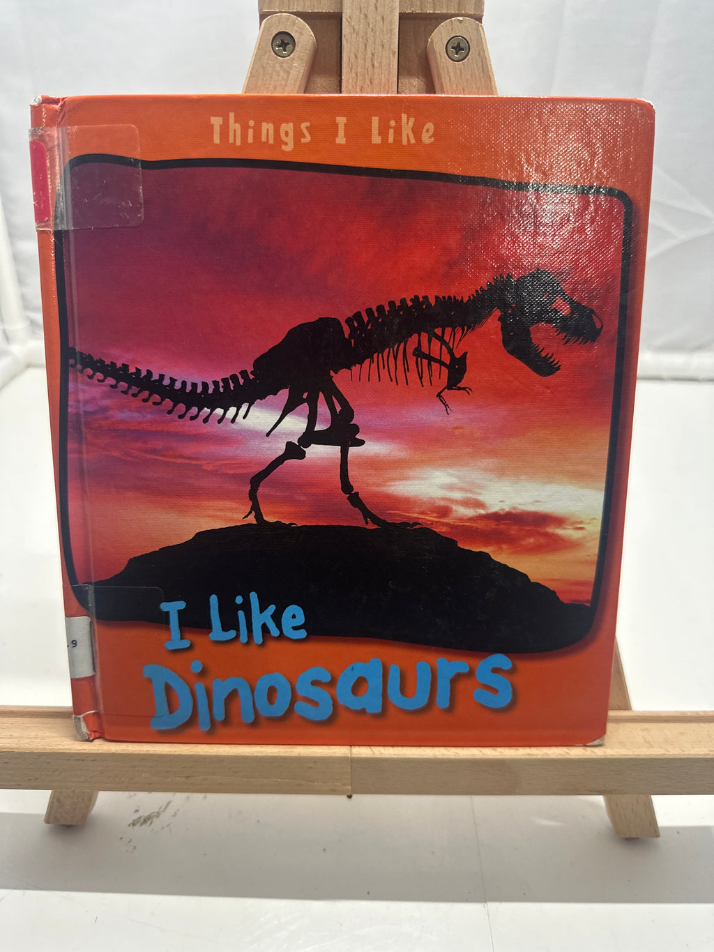 I Like Dinosaurs (Things I Like) by Angela Aylmore Hardcover