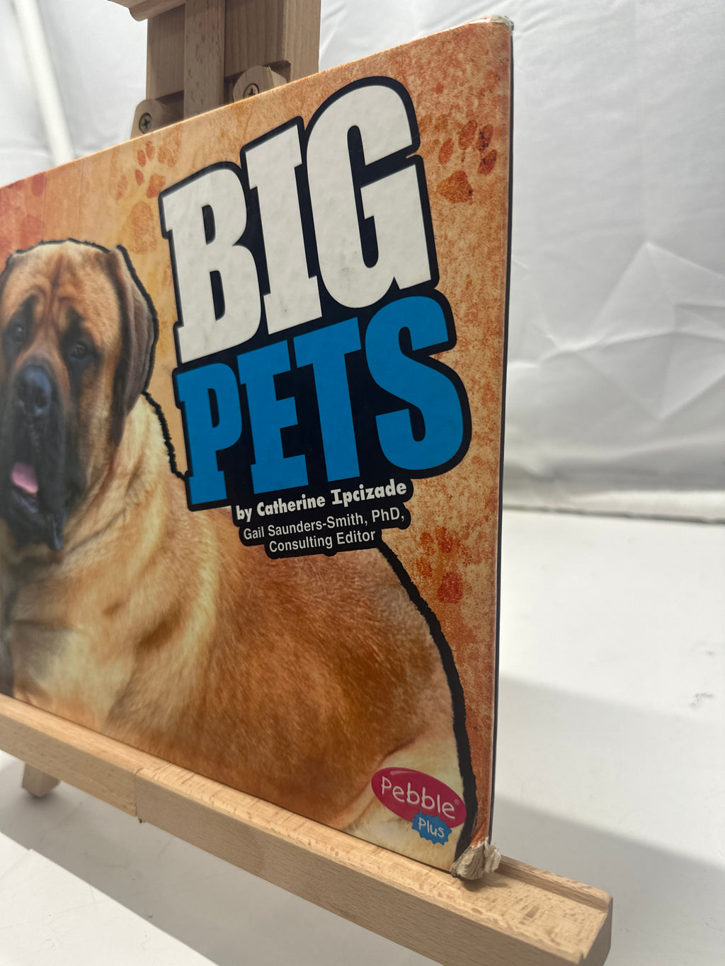 Big Pets by Catherine Ipcizade Hardcover
