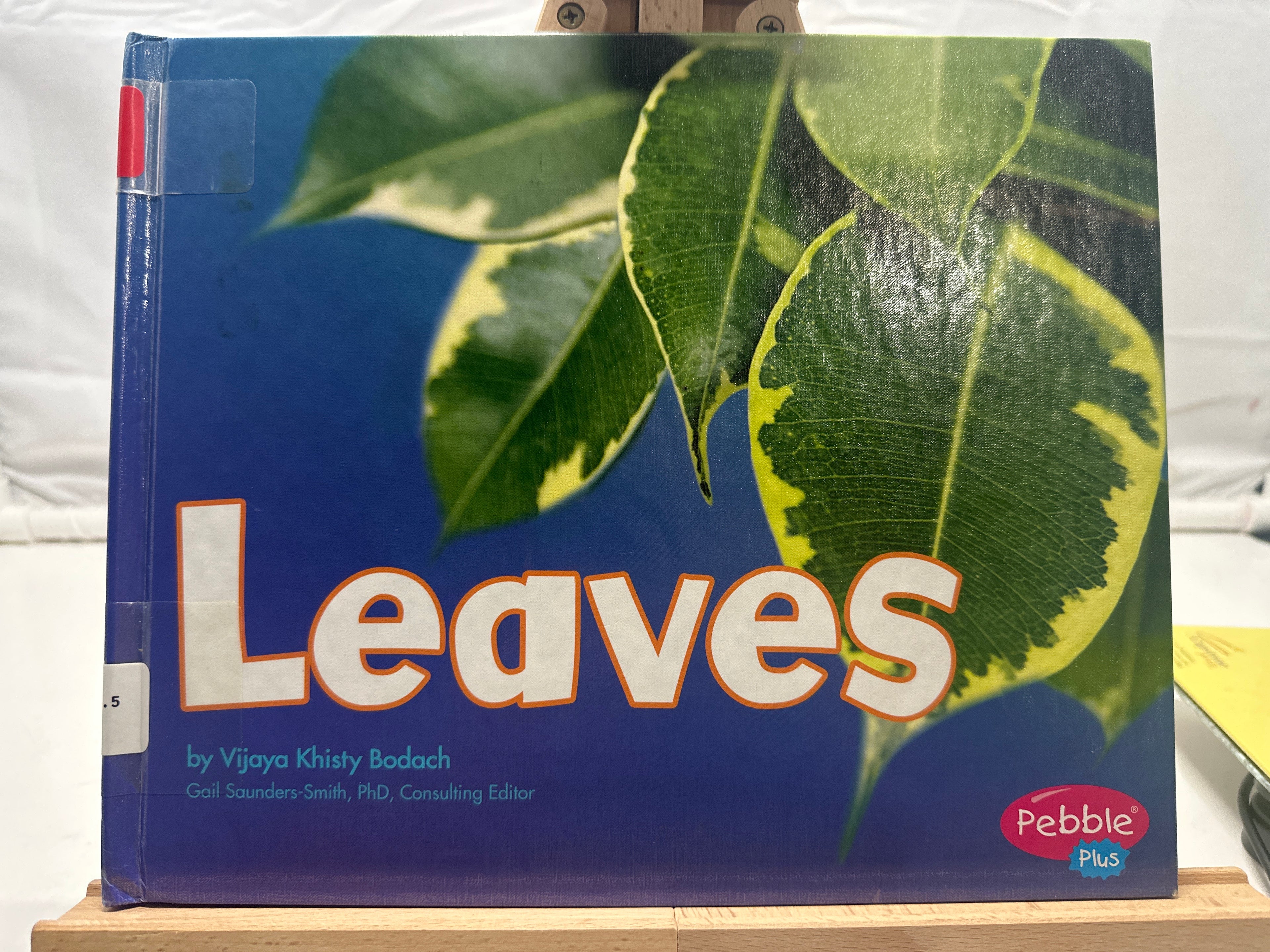 Leaves by Vijaya Khisty Bodach Hardcover